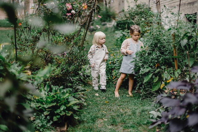Le Jardin – Un Coin de Paradis pour l’Âme